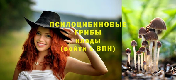 марки nbome Алзамай